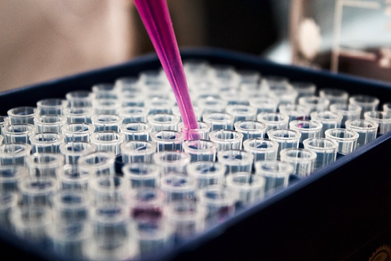 The Science Behind Immunity Support